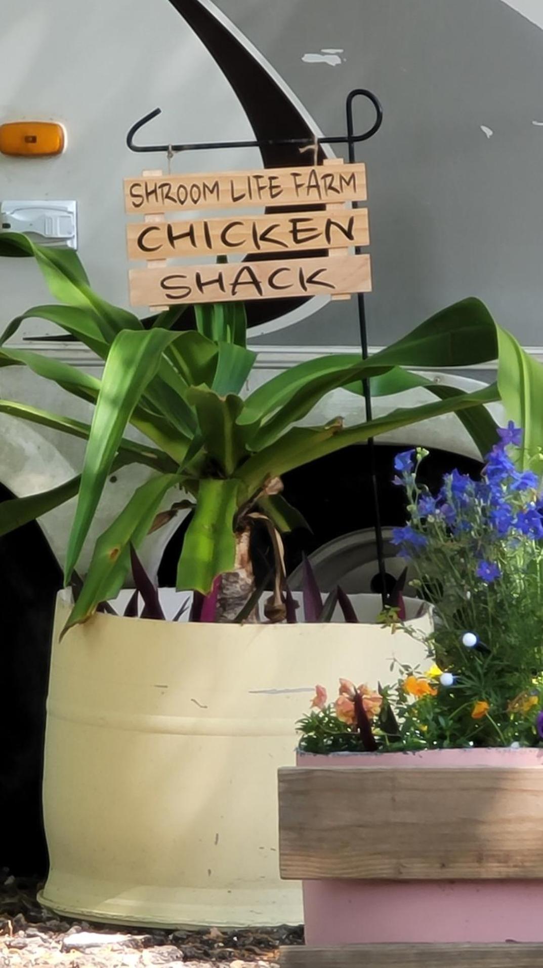 Shroom Life Farm Chicken Shack 北迈尔斯堡 外观 照片